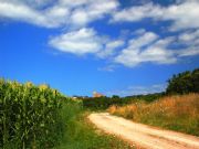 Camino de la Mies. Isla, Cantabria